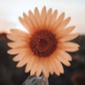 Meet your Posher, Cambrie